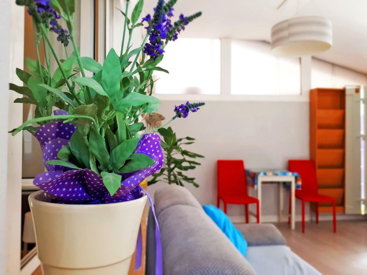 Apartment Matej Rovinjsko Selo Exteriér fotografie